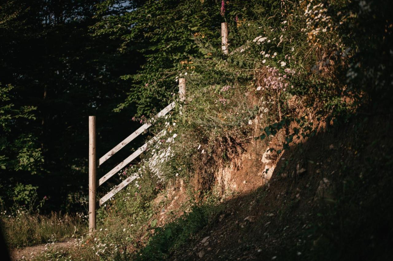 Wild Cabin マライア エクステリア 写真