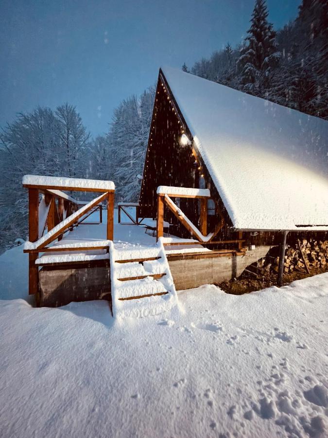 Wild Cabin マライア エクステリア 写真