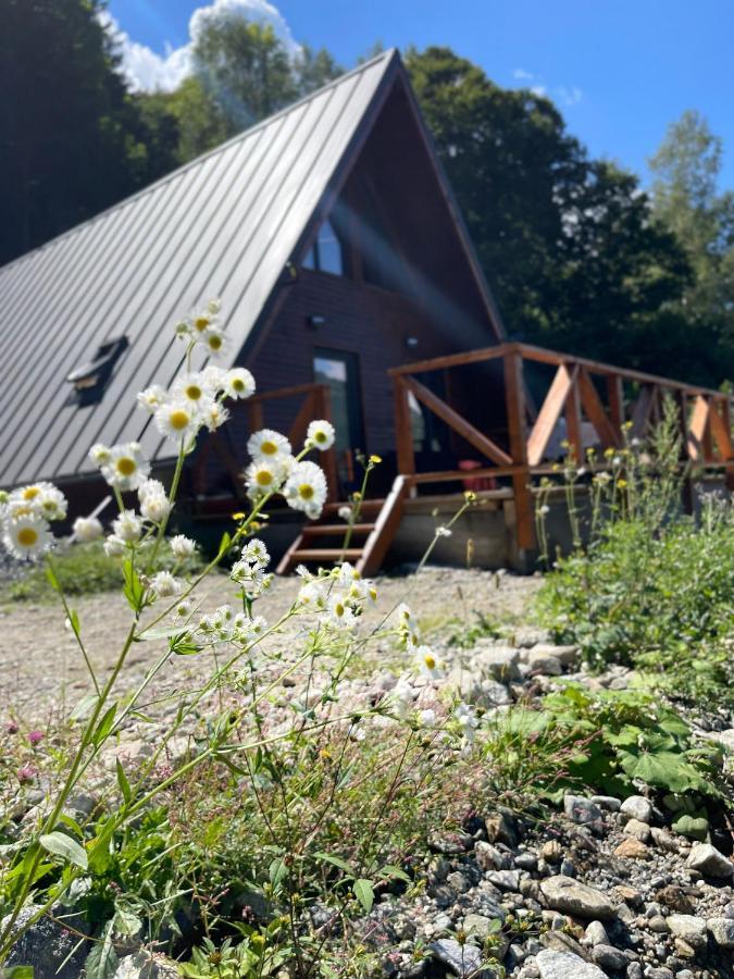 Wild Cabin マライア エクステリア 写真